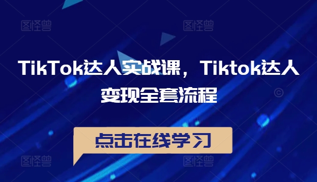TikTok达人实战课，Tiktok达人变现全套流程-数码之翼