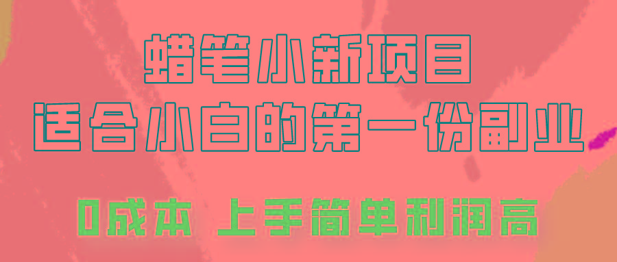 蜡笔小新项目拆解，0投入，0成本，小白一个月也能多赚3000+-数码之翼