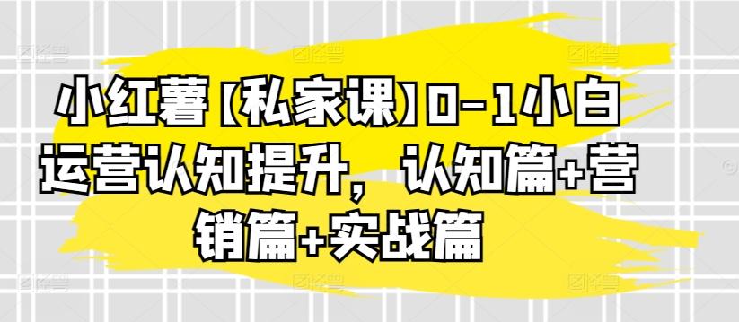 小红薯【私家课】0-1小白运营认知提升，认知篇+营销篇+实战篇-数码之翼