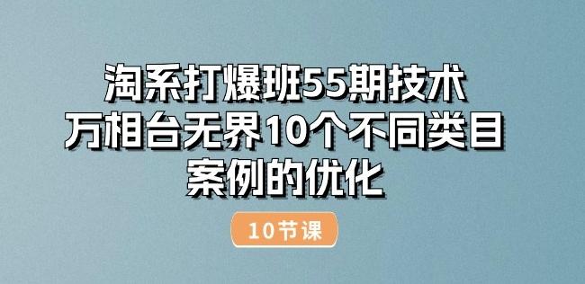 淘系打爆班55期技术：万相台无界10个不同类目案例的优化(10节)-数码之翼