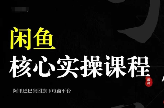 2024闲鱼核心实操课程，从养号、选品、发布、销售，教你做一个出单的闲鱼号-数码之翼