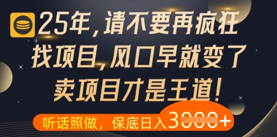 什么？25年你还在疯狂找项目做，醒醒吧，看完这些你全都懂了【揭秘】-数码之翼