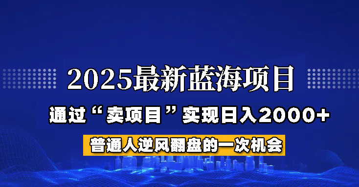 2025年蓝海项目，如何通过“网创项目”日入2000+-数码之翼