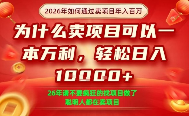 一单净利润1K+，26年想年入100个W，死磕卖项目就够了【揭秘】-数码之翼