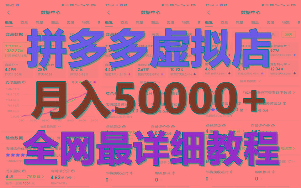 拼多多虚拟电商训练营月入50000+你也行，暴利稳定长久，副业首选-数码之翼