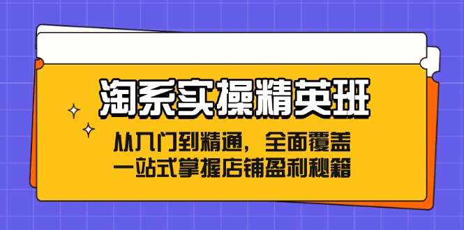 淘系实操精英班：从入门到精通，全面覆盖，一站式掌握店铺盈利秘籍-数码之翼