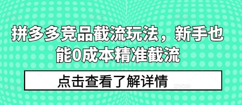 拼多多竞品截流玩法，新手也能0成本精准截流-数码之翼