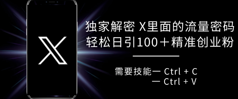 独家解密 X 里面的流量密码，复制粘贴轻松日引100+-数码之翼