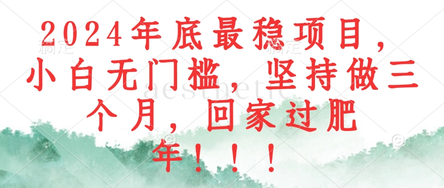 2024年底最稳项目，小白无门槛，坚持做三个月，回家过肥年！！！-数码之翼