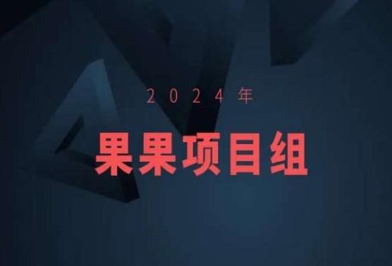 2024年果果项目组项目合集-果果最新项目-数码之翼