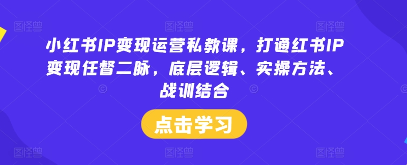 小红书IP变现运营私教课，打通红书IP变现任督二脉，底层逻辑、实操方法、战训结合-数码之翼
