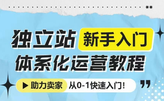 独立站新手入门体系化运营教程，助力独立站卖家从0-1快速入门!-数码之翼