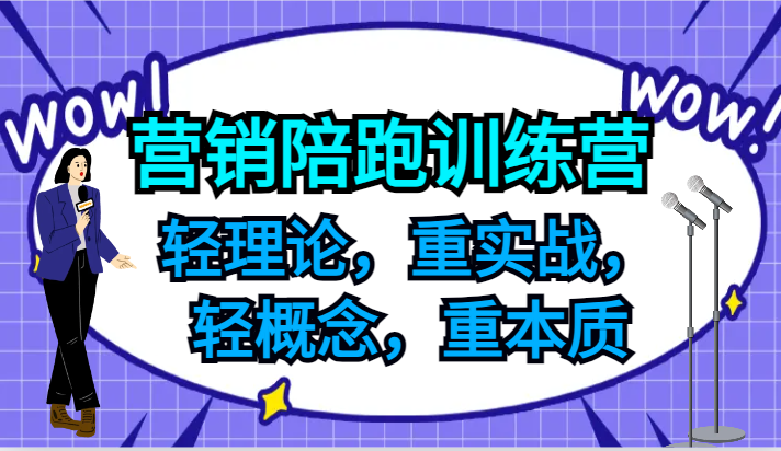 营销陪跑训练营，轻理论，重实战，轻概念，重本质，适合中小企业和初创企业的老板-数码之翼