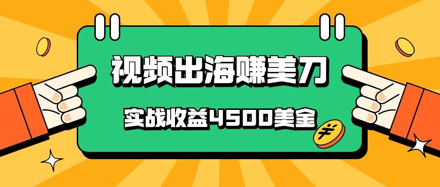 国内爆款视频出海赚美刀，实战收益4500美金，批量无脑搬运，无需经验直接上手-数码之翼
