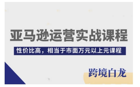 亚马逊运营实战课程，亚马逊从入门到精通，性价比高，相当于市面万元以上元课程-数码之翼
