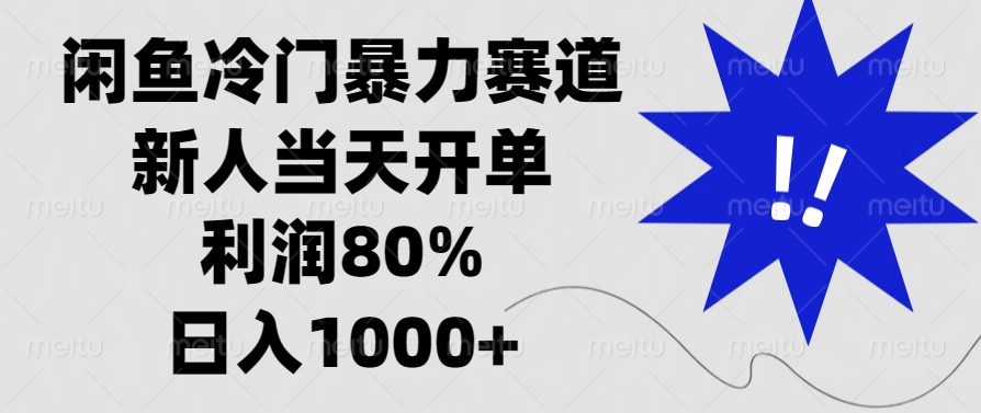 闲鱼冷门暴力赛道，新人当天开单，利润80%，日入1000+-数码之翼