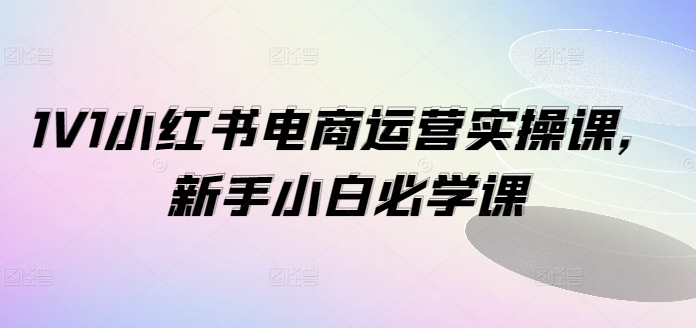 1V1小红书电商运营实操课，新手小白必学课-数码之翼