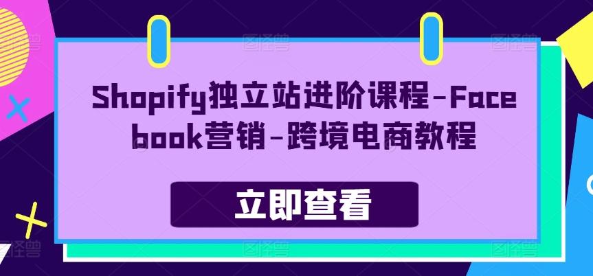Shopify独立站进阶课程-Facebook营销-跨境电商教程-数码之翼