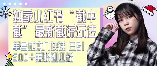 最新小红书截流玩法 独家截中截 单号成本几块钱 日引500+CY粉JZ粉-数码之翼