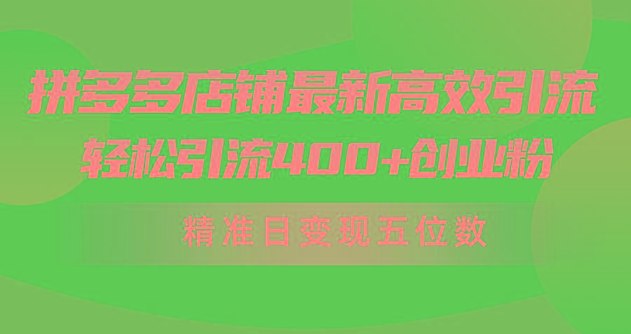 (10041期)拼多多店铺最新高效引流术,轻松引流400+创业粉,精准日变现五位数!-数码之翼
