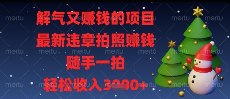 解气又挣钱的项目，最新违章拍照挣钱，随手一拍，轻松收入多张【揭秘】-数码之翼