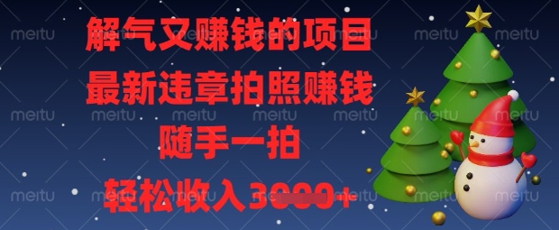 解气又挣钱的项目，最新违章拍照挣钱，随手一拍，轻松收入数张【揭秘】-数码之翼
