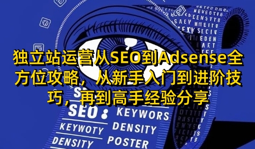 独立站运营从SEO到Adsense全方位攻略，从新手入门到进阶技巧，再到高手经验分享-数码之翼