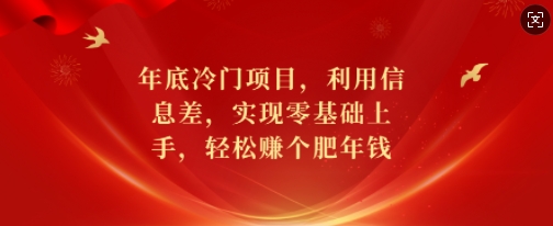 年底冷门项目，利用信息差，实现零基础上手，轻松赚个肥年钱【揭秘】-数码之翼
