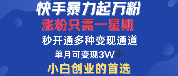 快手暴力起万粉，涨粉只需一星期，多种变现模式，直接秒开万合，单月变现过W【揭秘】-数码之翼
