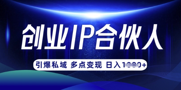 云帆·创业ip合伙人打造3.0，从0到1教你做网创，实现月入过W-数码之翼