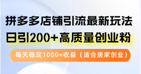 拼多多店铺引流最新玩法，日引200+高质量创业粉，每天稳定1000+收益(...-数码之翼