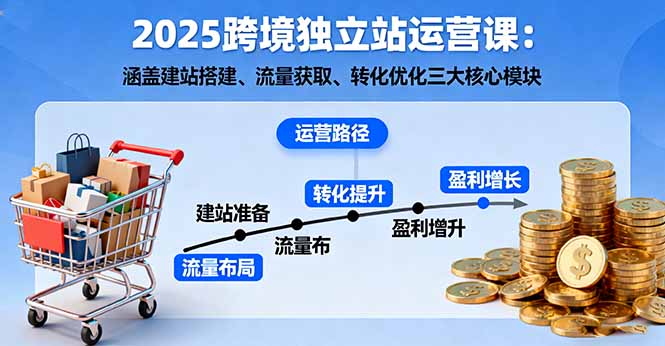 2025跨境独立站运营课：涵盖建站搭建、流量获取、转化优化三大核心模块-数码之翼