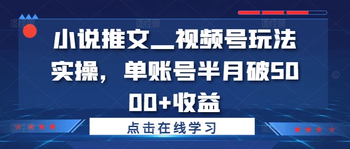 小说推文—视频号玩法实操，单账号半月破5000+收益-数码之翼