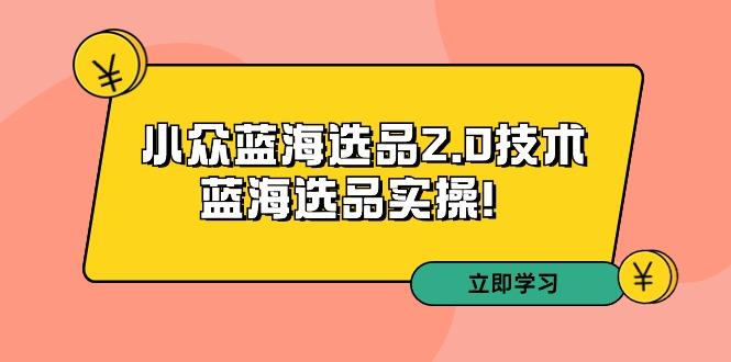 拼多多培训第33期:小众蓝海选品2.0技术-蓝海选品实操!-数码之翼
