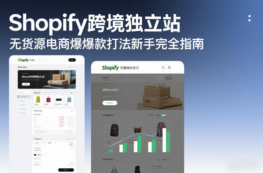 Shopify跨境独立站无货源电商爆款打法新手完全指南-数码之翼