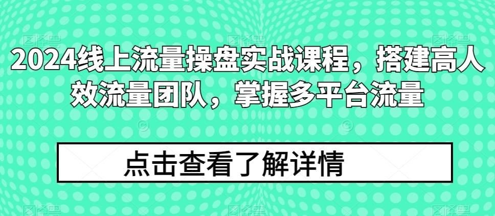 2024线上流量操盘实战课程,搭建高人效流量团队,掌握多平台流量-数码之翼