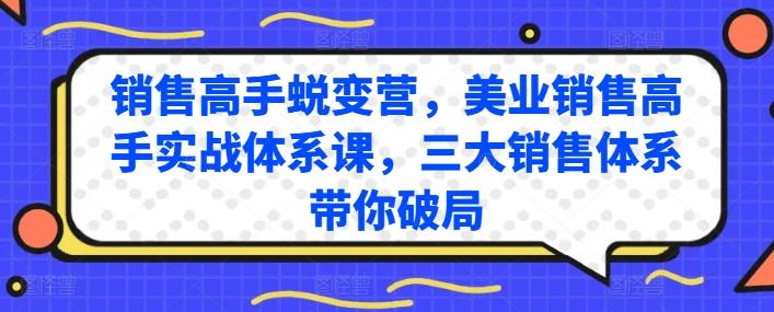 销售高手蜕变营，美业销售高手实战体系课，三大销售体系带你破局-数码之翼