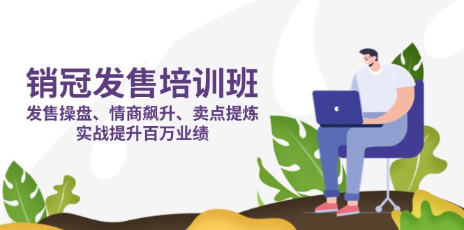 销冠 发售培训班：发售 操盘+情商 飙升+卖点 提炼，实战提升百万业绩-数码之翼