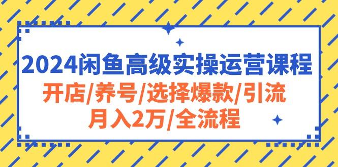 2024闲鱼高级实操运营课程：开店/养号/选择爆款/引流/月入2万/全流程-数码之翼