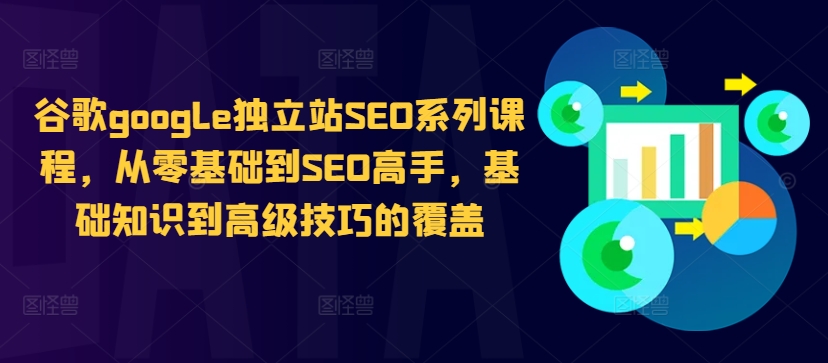 谷歌google独立站SEO系列课程，从零基础到SEO高手，基础知识到高级技巧的覆盖-数码之翼