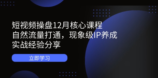 短视频操盘12月核心课程：自然流量打通，现象级IP养成，实战经验分享-数码之翼