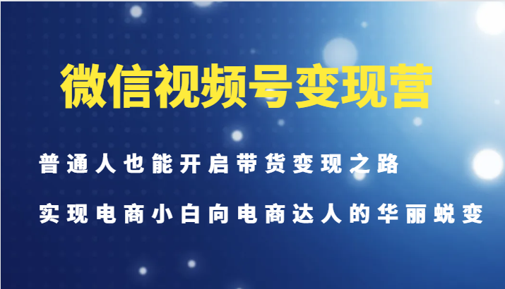 微信视频号变现营-普通人也能开启带货变现之路，实现电商小白向电商达人的华丽蜕变-数码之翼