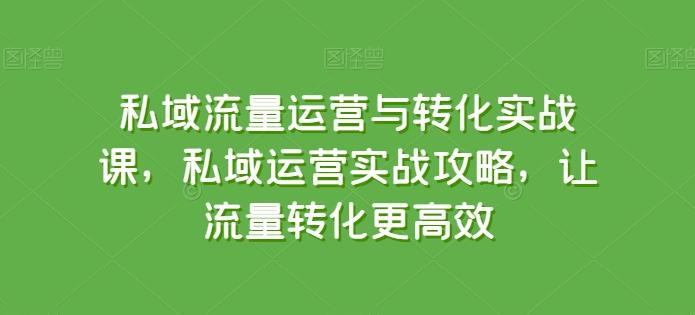 私域流量运营与转化实战课，私域运营实战攻略，让流量转化更高效-数码之翼
