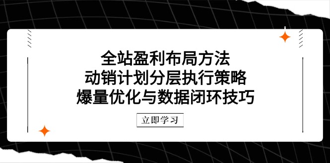 全站盈利布局方法：动销计划分层执行策略，爆量优化与数据闭环技巧-数码之翼