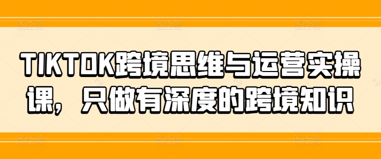 TIKTOK跨境思维与运营实操课，只做有深度的跨境知识-数码之翼