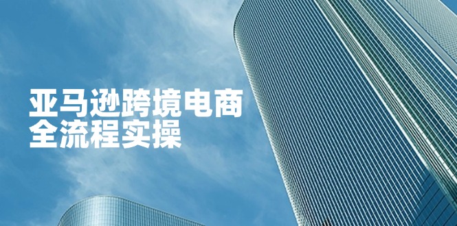 亚马逊跨境电商全流程实操，教你从零开始，掌握店铺运营与广告技巧-数码之翼