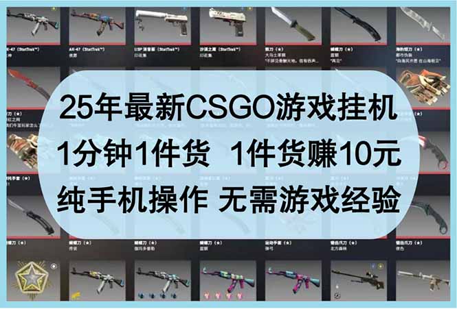 25年最新CSGO游戏挂机，1分钟1件货，1件货赚10元 纯手机操作 无需游戏经验-数码之翼