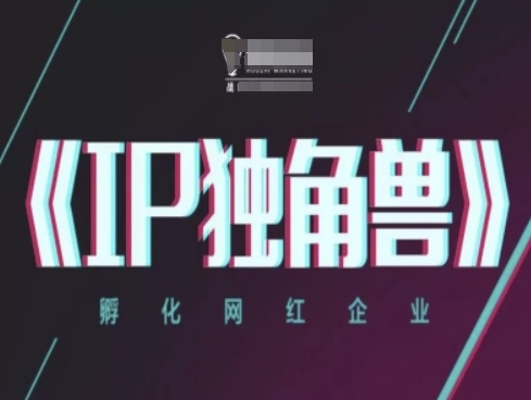 IP独角兽,孵化网红企业,ip教程-数码之翼