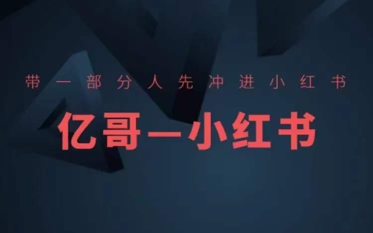 ​​带一部分人先冲进小红书，小红书开店、选品、爆款裂变-数码之翼