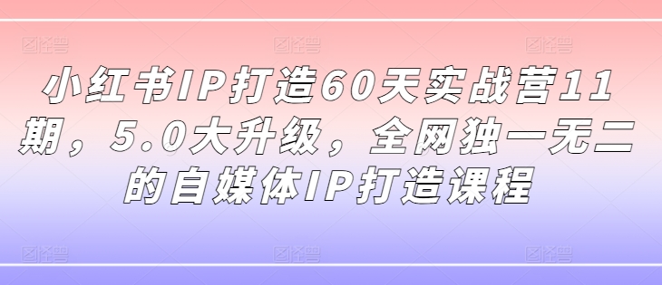 小红书IP打造60天实战营11期,5.0大升级,全网独一无二的自媒体IP打造课程-数码之翼